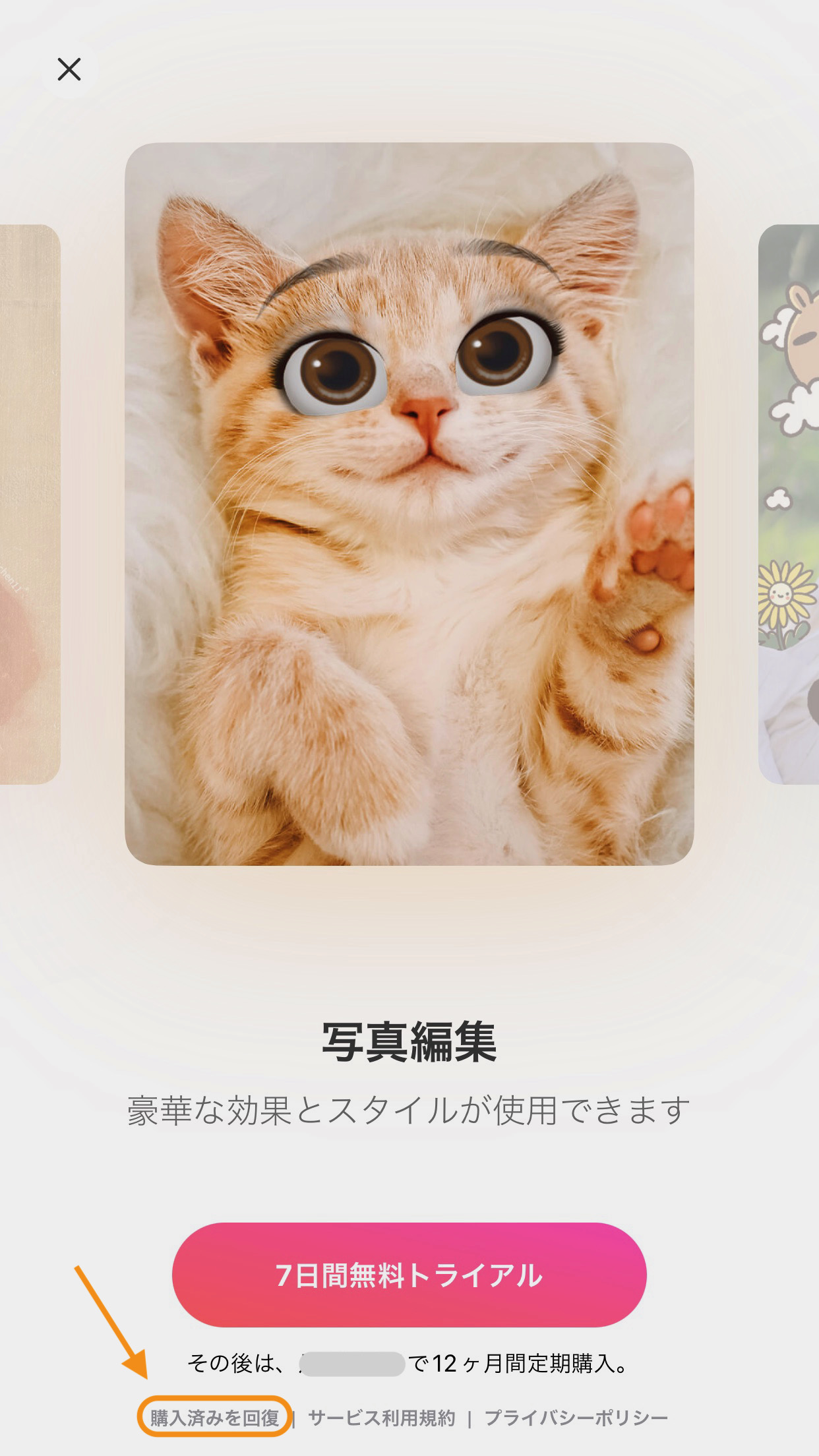 アプリを再インストールした後、購入済みを復元するにはどうすればよい 